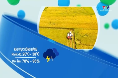 Dự báo thời tiết 19h ngày 4/8/2026