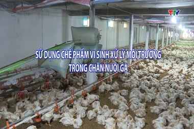 Khuyến nông ngày 04/8/2026