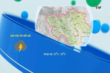 Bản tin cảnh báo thiên tai và thời tiết ngày 06/8/2026