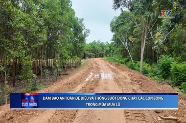 Bản tin Thời sự cuối ngày 05/8/2026