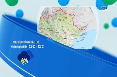 Bản tin cảnh báo thiên tai và thời tiết ngày 08/8/2026