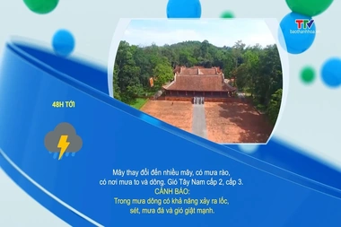 Dự báo thời tiết 19h ngày 06/8/2026