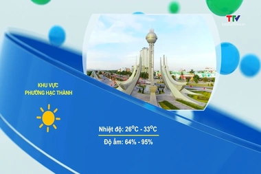 Dự báo thời tiết 19h ngày 08/8/2026