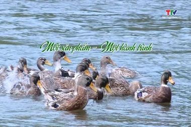 Kí sự ngày 5/7/2026: Mỗi sản phẩm - một hành trình