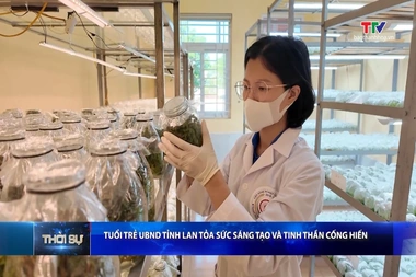 Bản tin Thời sự 16h ngày 11/8/2026