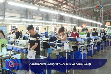 Bản tin Tài chính - Thị trường ngày 12/8/2026
