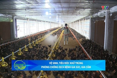 Bản tin Nông nghiệp - Nông thôn ngày 12/8/2026