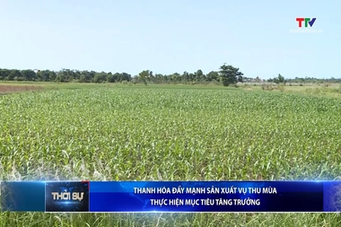 Bản tin Thời sự 14h ngày 15/8/2026