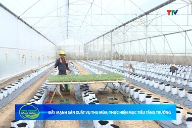 Bản tin Nông nghiệp - Nông thôn ngày 15/8/2026
