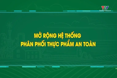 Phóng sự: Mở rộng thị trường cho thực phẩm an toàn