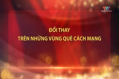 Đảng trong cuộc sống ngày 20/8/2026