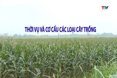 Khuyến nông ngày 01/9/2026