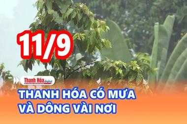 Cảnh báo thiên tai và thời tiết ngày 11/9: Thanh Hóa có mưa và dông vài nơi