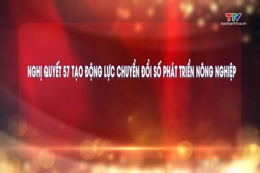 Đảng trong cuộc sống ngày 10/9/2026