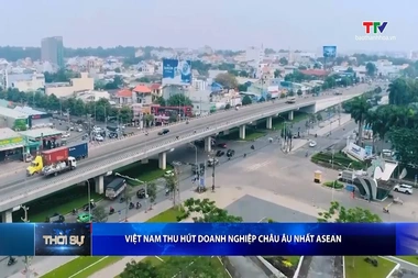 Bản tin Thời sự trưa 12/9/2026