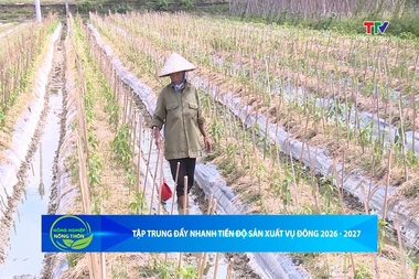 Bản tin Nông nghiệp – Nông thôn ngày 12/9/2026