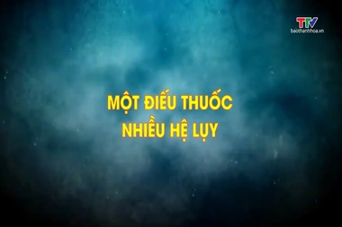 Phóng sự: Một điếu thuốc, nhiều hệ lụy