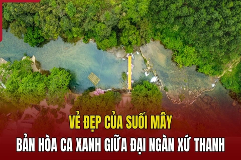Vẻ đẹp của Suối Mây - Bản hòa ca xanh giữa đại ngàn xứ Thanh