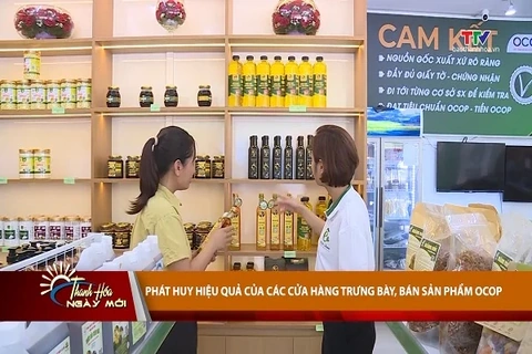 Thanh Hóa ngày mới 21/8/2026