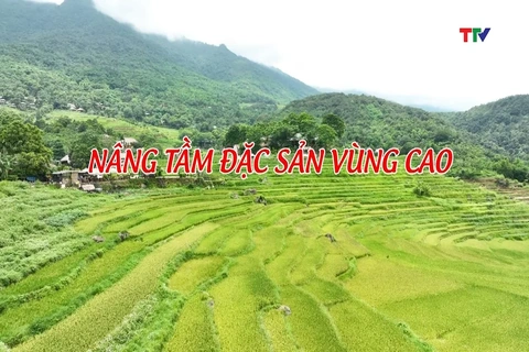 Ký sự: Nâng tầm đặc sản vùng cao