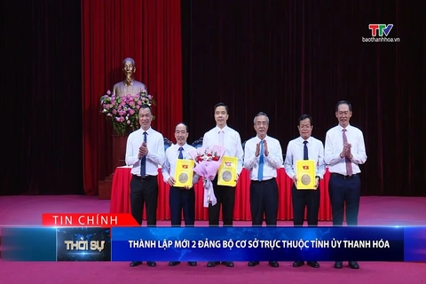 Bản tin Thời sự tối 04/9/2026
