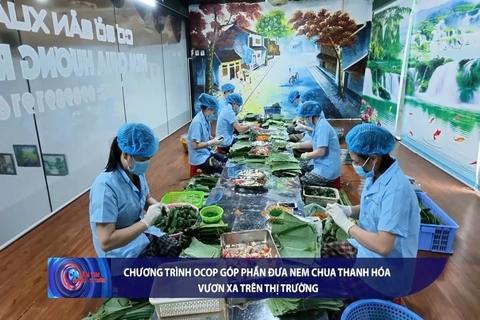 Bản tin Tài chính - Thị trường ngày 20/8/2026
