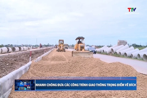 Bản tin Dòng chảy kinh tế ngày 20/9/2026