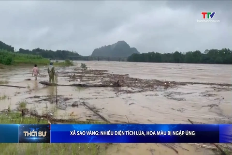 Bản tin Thời sự 14h ngày 17/9/2026