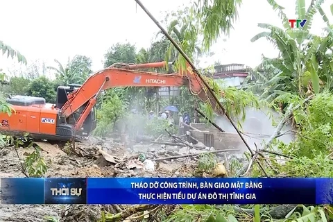 Bản tin Thời sự trưa 15/9/2026