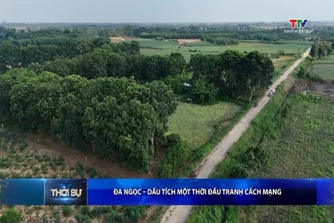 Bản tin Thời sự trưa 19/9/2026