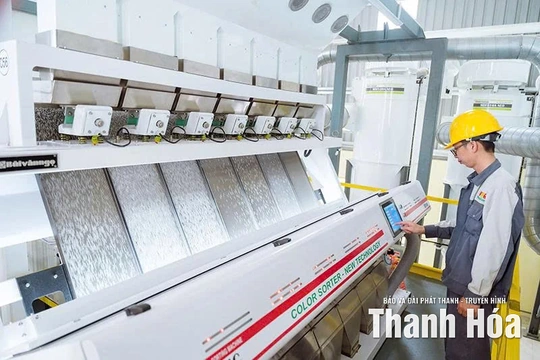 Xanh hóa nông nghiệp để cạnh tranh toàn cầu