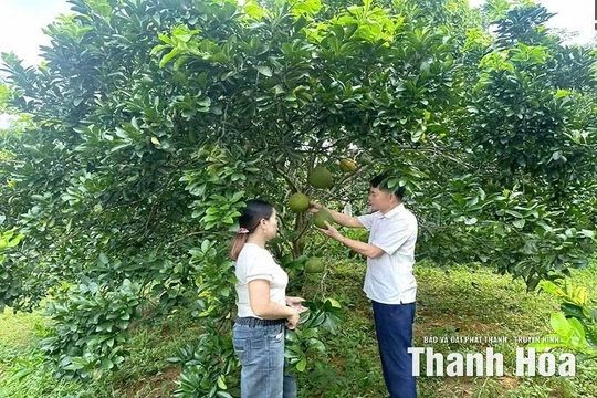 Bí thư chi bộ vận động Nhân dân XDNTM kiểu mẫu