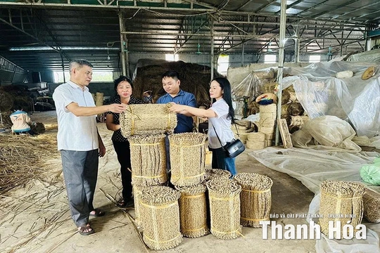 Tân Tiến phát triển nghề chiếu cói