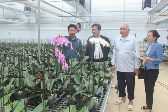 Người tiên phong ứng dụng nông nghiệp tuần hoàn