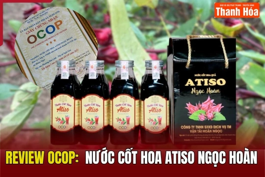 [REVIEW OCOP] Nước cốt hoa atiso Ngọc Hoàn