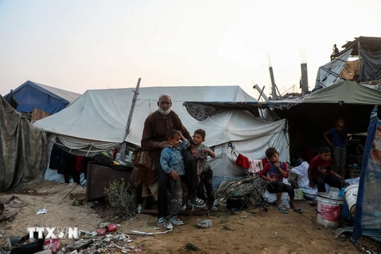 Gần 320 triệu người trên thế giới sẽ đối mặt nạn đói nghiêm trọng trong năm 2026