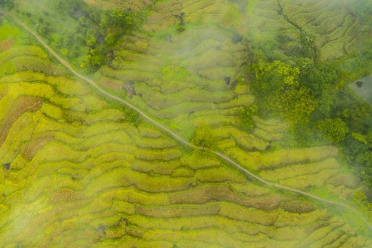 Pù Luông trong sương: “Sa Pa xứ Thanh” mê hoặc lòng người