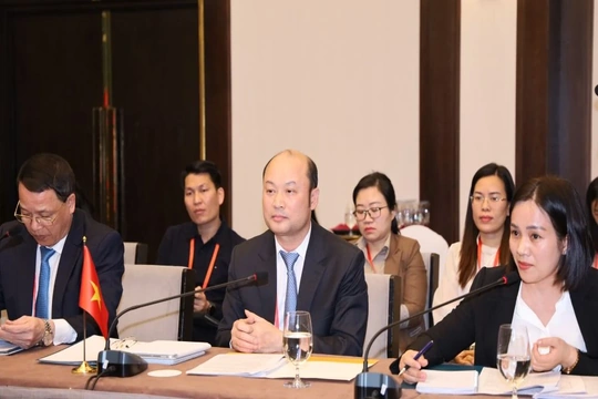 Thanh Hoá tham dự Diễn đàn hợp tác địa phương Việt - Nhật