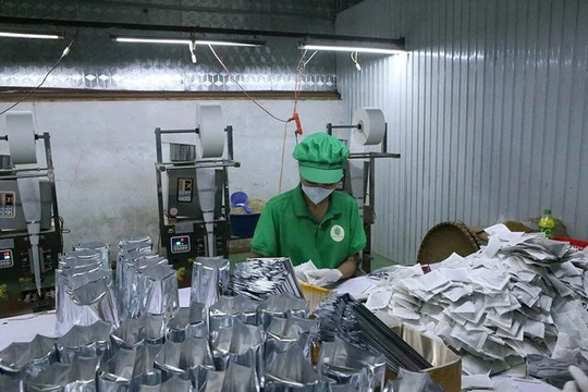 Lựa chọn, phát triển sản phẩm OCOP từ thế mạnh chủ lực