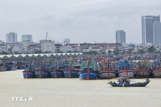 Có thể xuất hiện 1-2 cơn bão, áp thấp nhiệt đới trên Biển Đông trong tháng 12