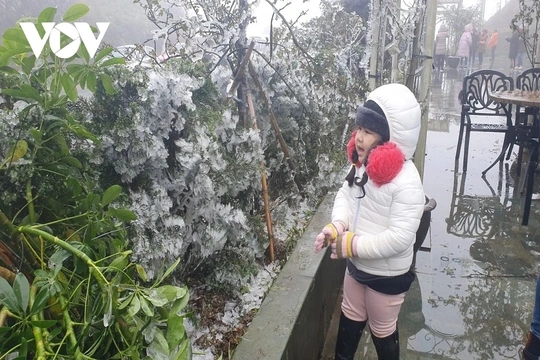 Miền Bắc chuẩn bị bước vào cao điểm rét đậm, rét hại trên diện rộng