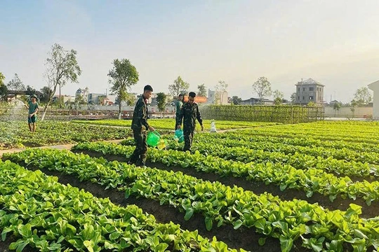 Thi đua Quyết thắng trong lực lượng vũ trang tỉnh: Gắn công tác xây dựng Đảng và học tập, làm theo Bác