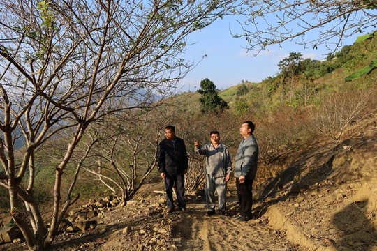 Đồng bào Mông một lòng theo Đảng - Khát vọng đổi đời từ núi cao (Bài 1): Mở “nút thắt” trong nếp nghĩ, cách làm&nbsp;