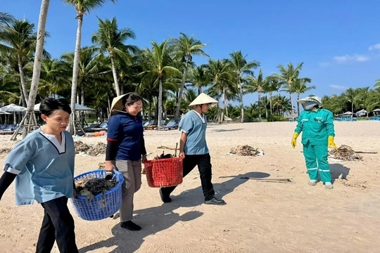 Phú Quốc cấp tập hàng giờ ra quân làm sạch bãi biển mùa gió chướng