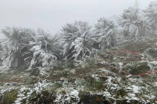 Không khí lạnh tiếp tục mở rộng khu vực ảnh hưởng, vùng núi Thanh Hóa rét hại