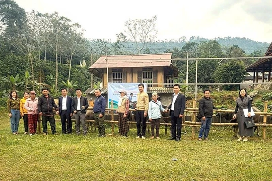 Gấp rút tái thiết nhà ở, phục hồi sinh kế cho người dân vùng lũ Yên Nhân