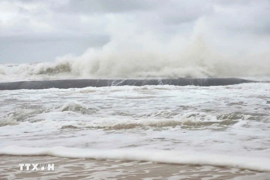 Sắp có áp thấp đầu tiên trong năm 2026 trên biển Đông, Việt Nam có ảnh hưởng?