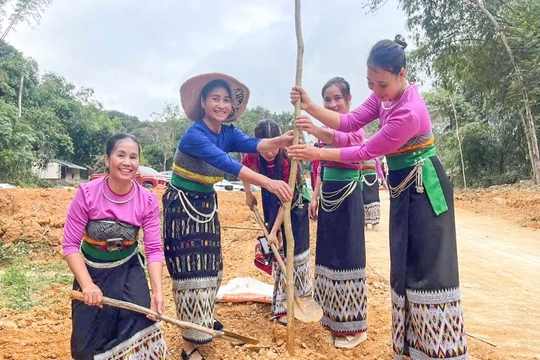 Sôi nổi phong trào “Tết trồng cây đời đời nhớ ơn Bác Hồ” xuân Bính Ngọ 2026
