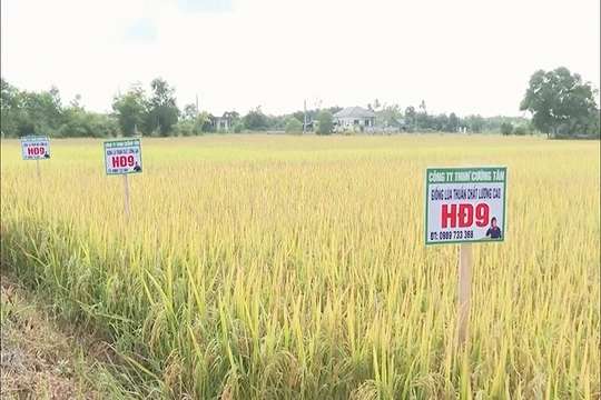 Sở hữu trí tuệ - mở “đường băng” cho kết quả nghiên cứu khoa học