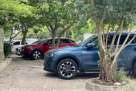 Triển khai thu phí không dừng tại bến xe, bãi đỗ xe trong đô thị&nbsp;đảm bảo theo đúng lộ trình